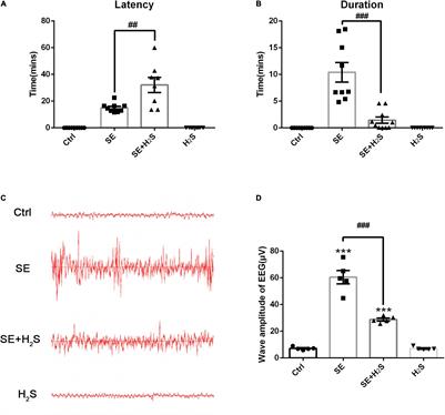 A Novel Hydrogen Sulfide Donor Reduces Pilocarpine-Induced Status Epilepticus and Regulates Microglial Inflammatory Profile